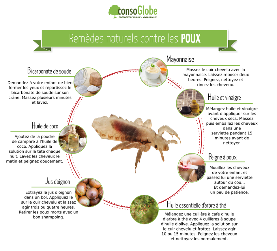 Shampoing anti-poux : comment éliminer les poux efficacement