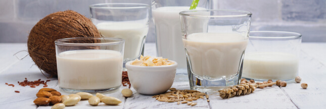 Duel écologique : lait végétal vs. lait animal