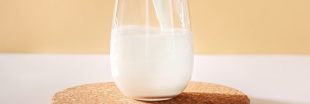 Duel écologique : lait végétal vs. lait animal