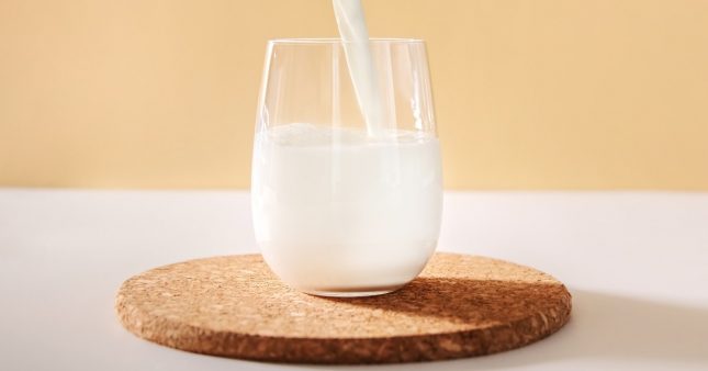 Duel écologique : lait végétal vs. lait animal
