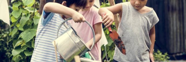 Les enfants au potager en été