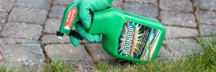 Le Roundup toujours en vente dans les jardineries ? Le Roundup toujours en vente dans les jardineries ?