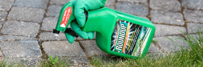 Le Roundup toujours en vente dans les jardineries ?