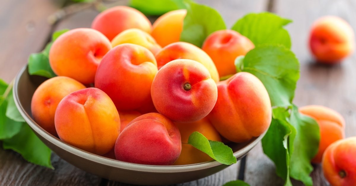 Légumes et fruits d’été : l’abricot pour le tonus
