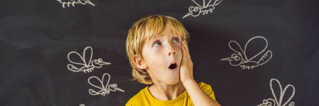 Aliments anti moustique