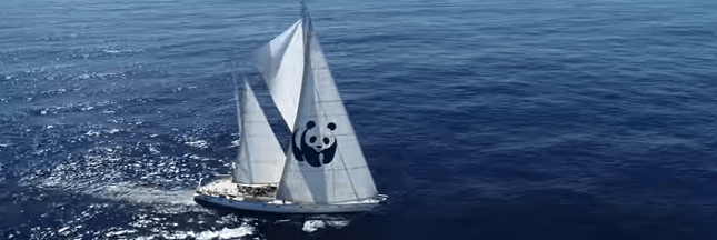 L'Odyssée du Blue Panda, le navire du WWF, pour la sauvegarde de la Méditerranée