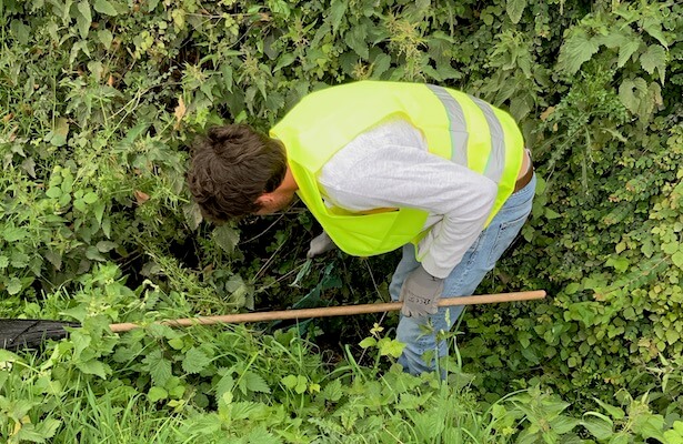 ramassage des déchets