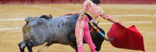 Pétition: portons l'estocade finale à la corrida !