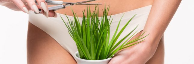 épilation du maillot, maillot épilation, épilation maillot