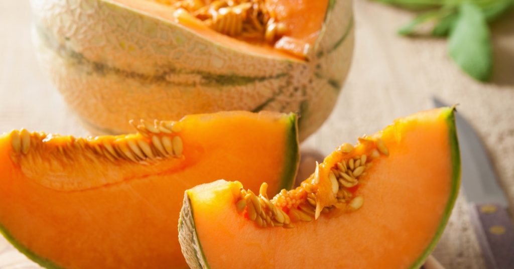 Comment faire germer un pépin de melon