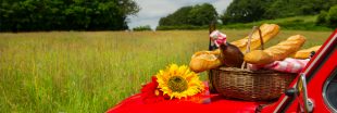 Comment bien manger sur la route des vacances ? Conseils et astuces !