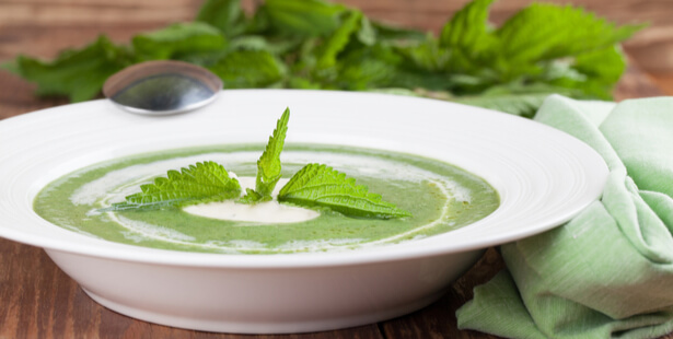 recette soupe détox d'ortie