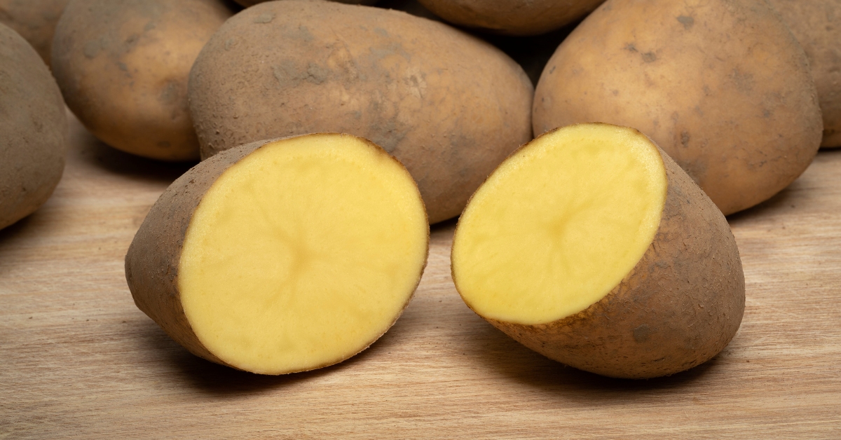 pommes de terre Bintje