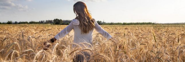 shampooing maison avoine