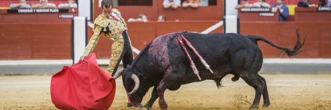 Carton rouge : le ministre de l’Agriculture, et du bien-être animal au premier rang d’une corrida