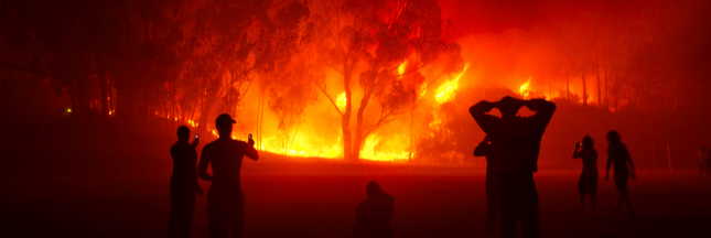 L'Amazonie , Incendies  Feu-de-foret-afrique_shutterstock_24466732