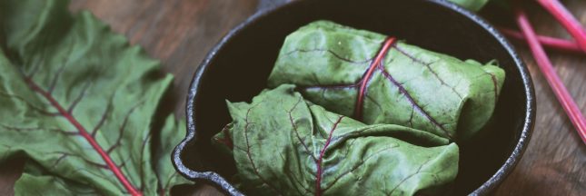 feuilles de blettes fracies