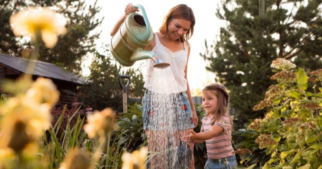 Jardin résilient : comment économiser l'eau au jardin ?
