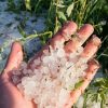 Comment protéger son jardin de la grêle et que faire après un orage ? Comment protéger son jardin de la grêle et que faire après un orage ?