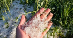 Comment protéger son jardin de la grêle et que faire après un orage ? Comment protéger son jardin de la grêle et que faire après un orage ?