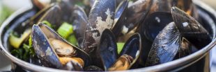 Trésor nutritionnel et bon marché : mangez des moules ! Trésor nutritionnel et bon marché : mangez des moules !
