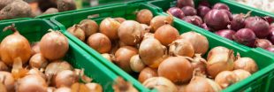 Des oignons du bout du monde dans nos supermarchés