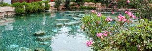 Une piscine naturelle pour une baignade écologique