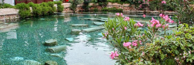 Une piscine naturelle