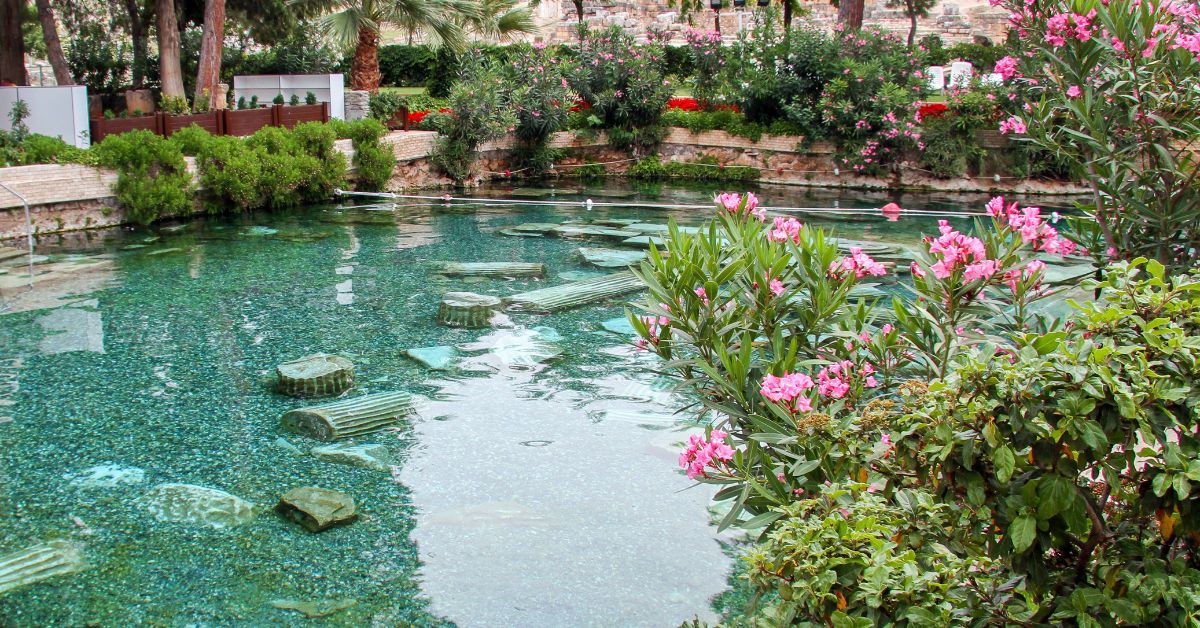 Une piscine naturelle pour une baignade écologique Une piscine naturelle pour une baignade écologique
