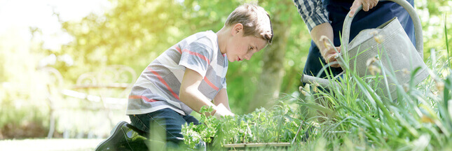 Que Semer En Aout Dans Le Jardin Que Cultiver Ou Semer Au Potager En Aout Potager Conseil Jardinage Jardinage