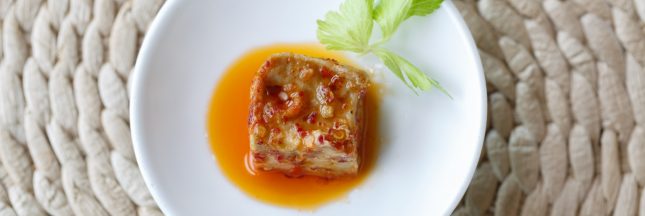 tofu lactofermenté