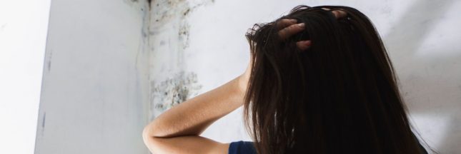 Astuces anti moisissures : se débarrasser des moisissures à la maison