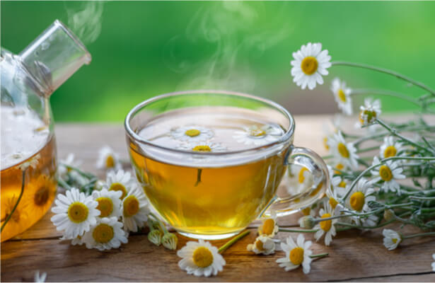 tisane pour dormir, plante pour dormir, somnifère naturel, camomille-fleur-champs-pétales-bouton-tige-5