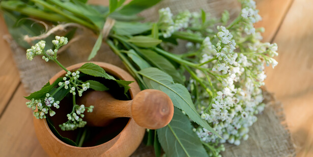 Une tisane améliorer la digestion et le sommeil de bébé.