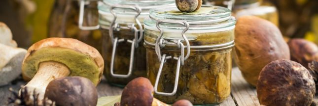 Comment conserver les champignons ?