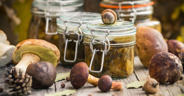Comment conserver les champignons ?