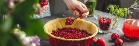La cranberry ou canneberge : le fruit santé