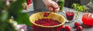 La cranberry ou canneberge : le fruit santé La cranberry ou canneberge : le fruit santé