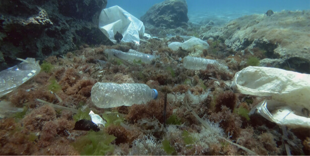 durée de vie des déchets