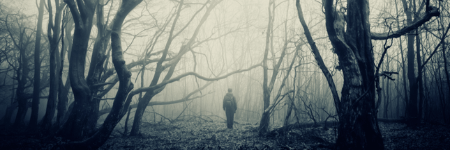 Feux zombies, forêts fantômes… Cette année, Halloween c’est le climat !