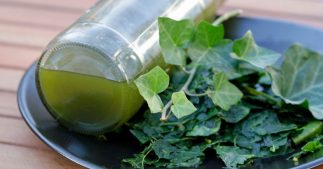 Je fabrique ma lessive au lierre ou à la saponaire Je fabrique ma lessive au lierre ou à la saponaire