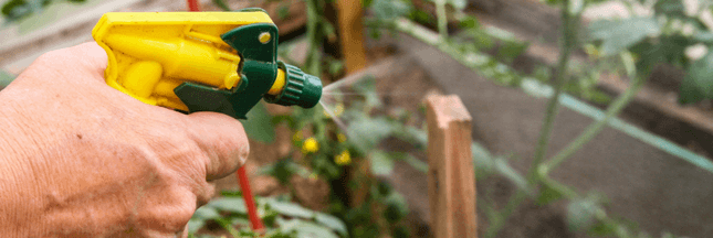 Encore trop de pesticides utilisés dans les maisons et jardins français