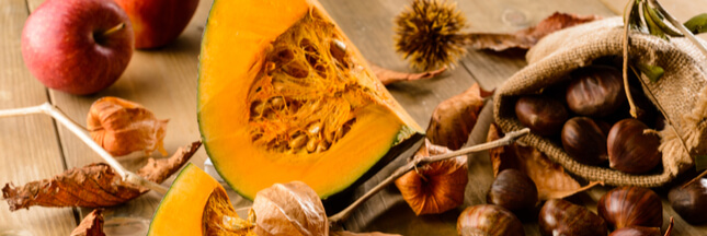 Les Bienfaits Du Potiron Votre Allie Antioxydant De L Automne