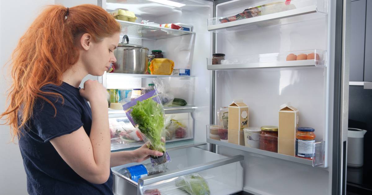 Consommation frigo : combien coûte une heure de réfrigérateur ?
