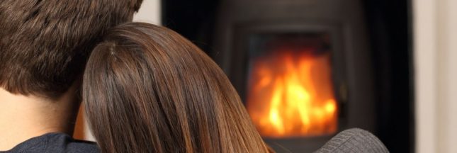 Le meilleur bois de chauffage pour le poêle