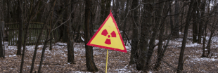 Votre bois de chauffage pourrait être radioactif !