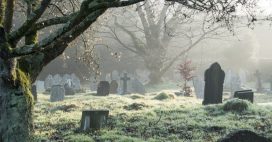 Les corps ne se décomposent plus dans les cimetières