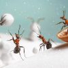 Que deviennent les insectes en hiver ?