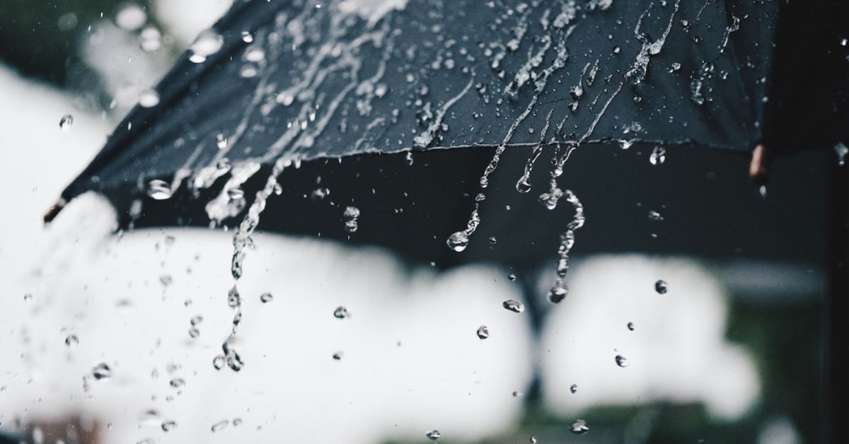 Parapluies : un pépin pour l'environnement