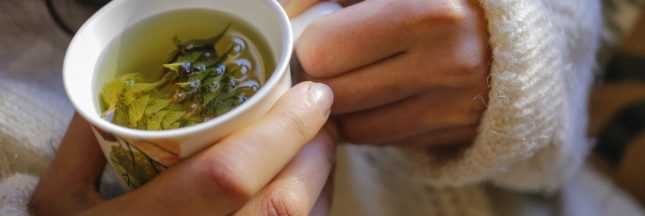 Les meilleures tisanes naturelles anti froid en hiver